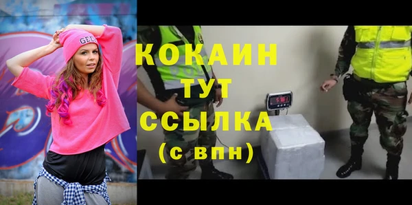прущая мука Каменка