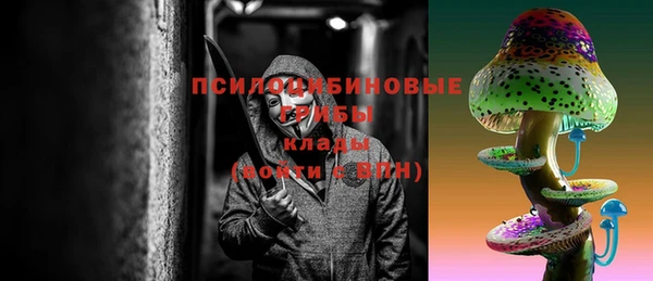 прущая мука Каменка